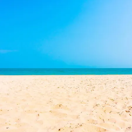 فندق Primorski 3*