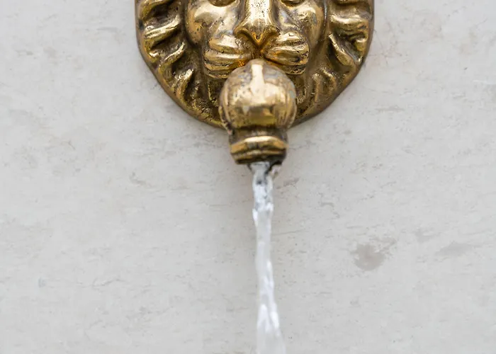 Primorski 호텔 산콘스탄틴앤헬레나